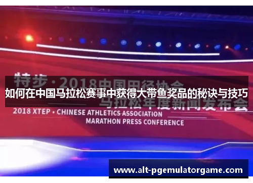如何在中国马拉松赛事中获得大带鱼奖品的秘诀与技巧