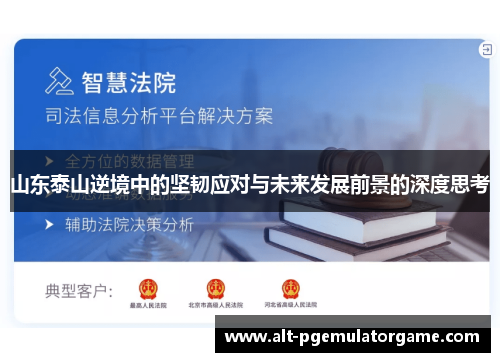 山东泰山逆境中的坚韧应对与未来发展前景的深度思考