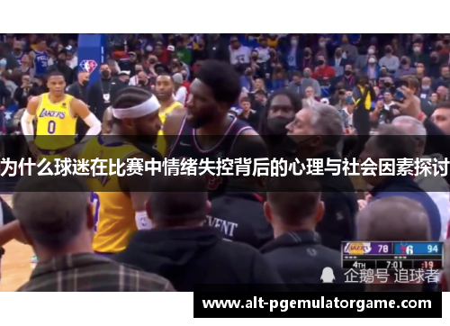 为什么球迷在比赛中情绪失控背后的心理与社会因素探讨