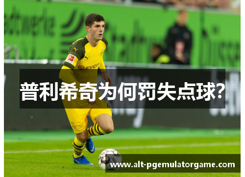 普利希奇为何罚失点球？