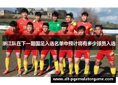 浙江队在下一期国足入选名单中预计将有多少球员入选
