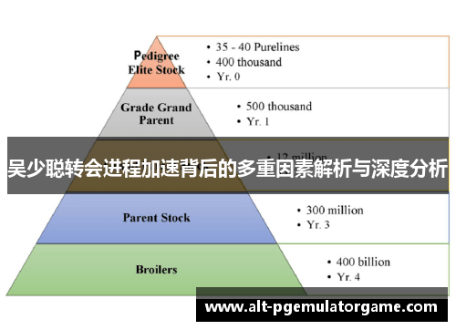 吴少聪转会进程加速背后的多重因素解析与深度分析