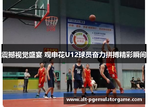 震撼视觉盛宴 观申花U12球员奋力拼搏精彩瞬间