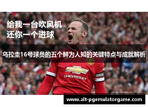 乌拉圭16号球员的五个鲜为人知的关键特点与成就解析