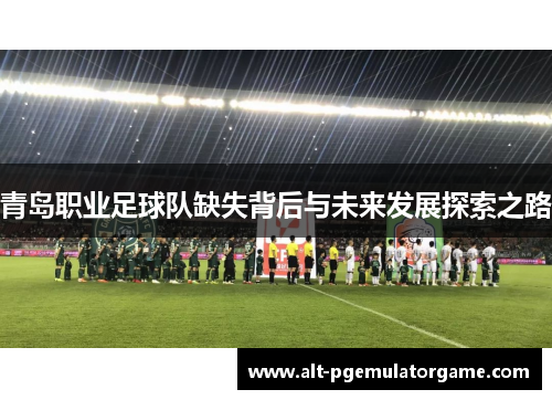 青岛职业足球队缺失背后与未来发展探索之路