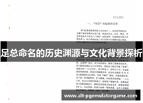 足总命名的历史渊源与文化背景探析 足总命名的历史渊源与文化背景探析