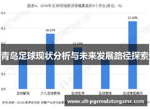 青岛足球现状分析与未来发展路径探索