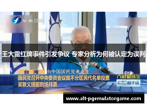 王大雷红牌事件引发争议 专家分析为何被认定为误判