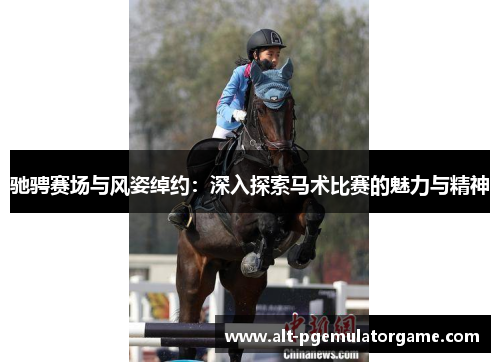 驰骋赛场与风姿绰约：深入探索马术比赛的魅力与精神