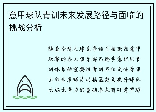 意甲球队青训未来发展路径与面临的挑战分析
